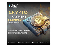 Crypto Payment Gateway Development Company